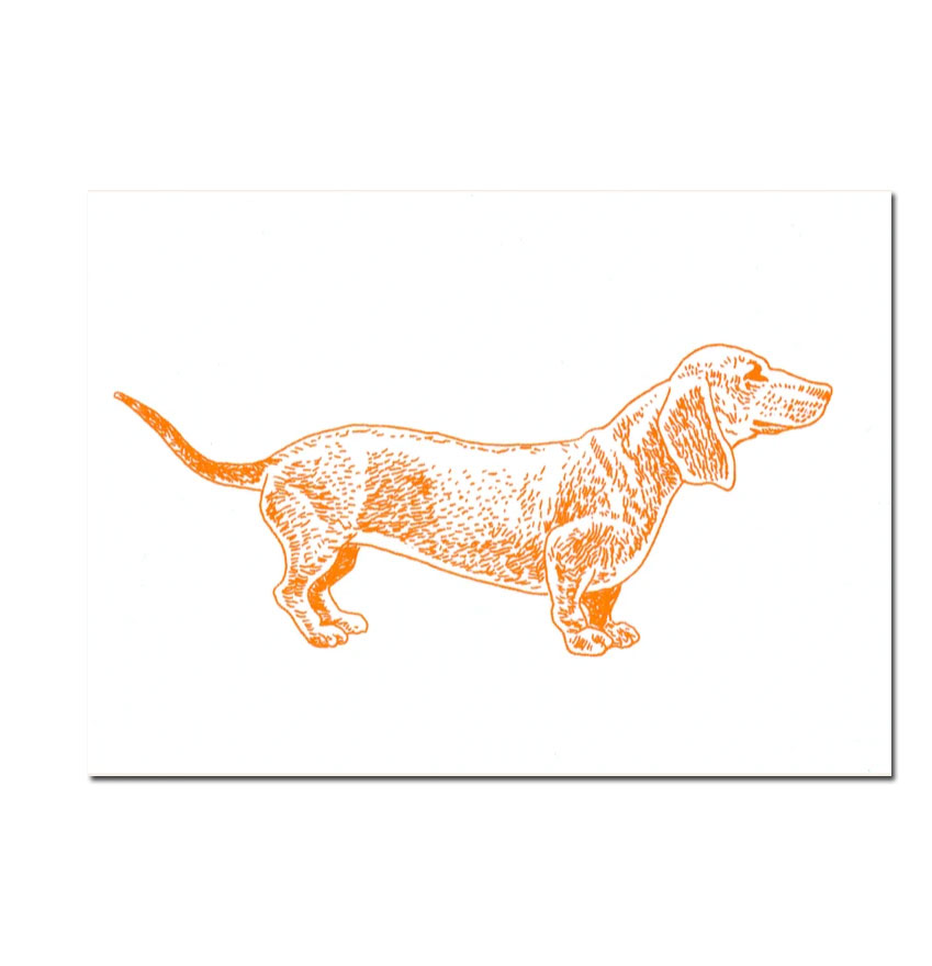 Herr und Frau Rio Postkarte Dackel Fluo-Orange, Risographie Postkarte