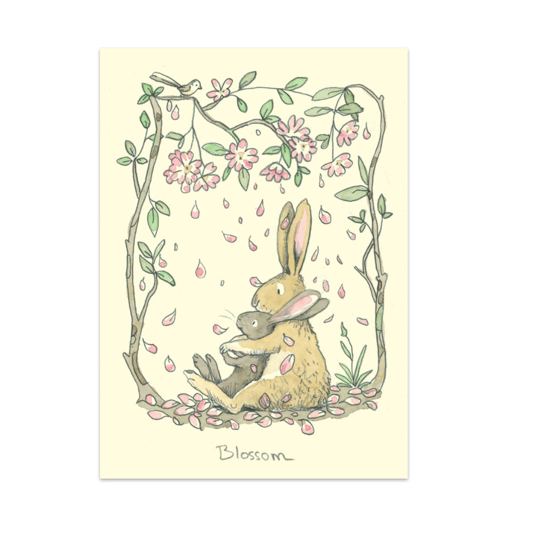 Two Bad Mice Doppelkarte "Blossom" von Two Bad Mice aus England , Hase von Anita Jeram, Ostern 