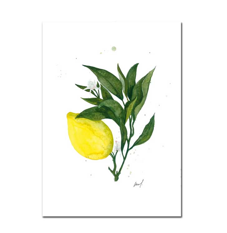 Leo la Douce Postkarte – LEMONS, Zitronen, Sommer 