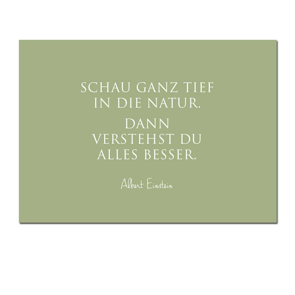 Wunderwort Postkarte "Schau ganz tief in die Natur…" Albert Einstein