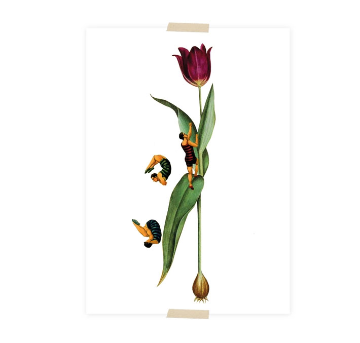 Lylies Postkarte Collage Tulpe mit Pullovern von Lylies