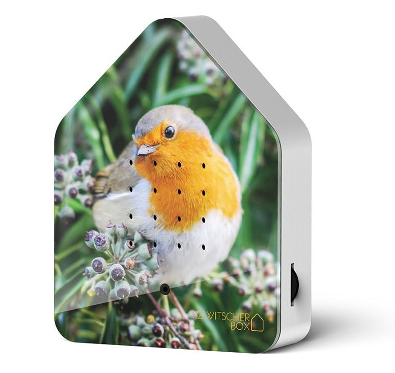 Zwitscherbox Robin Redbreast/ Rotkehlchen von Zwitscherbox  , limitierte Auflage