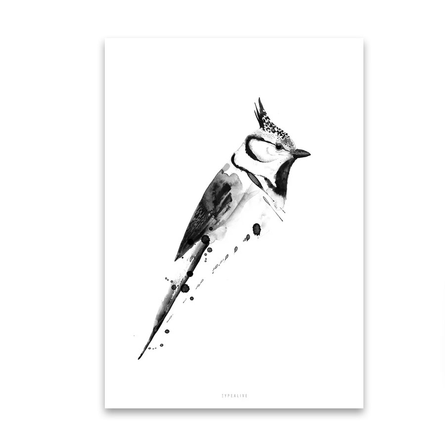 Typealive Postkarte "Birdy No. 2"   Vogel 