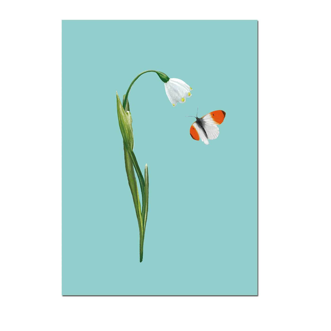 Postkarte Spring Snowflake , Frühling von m-illu 