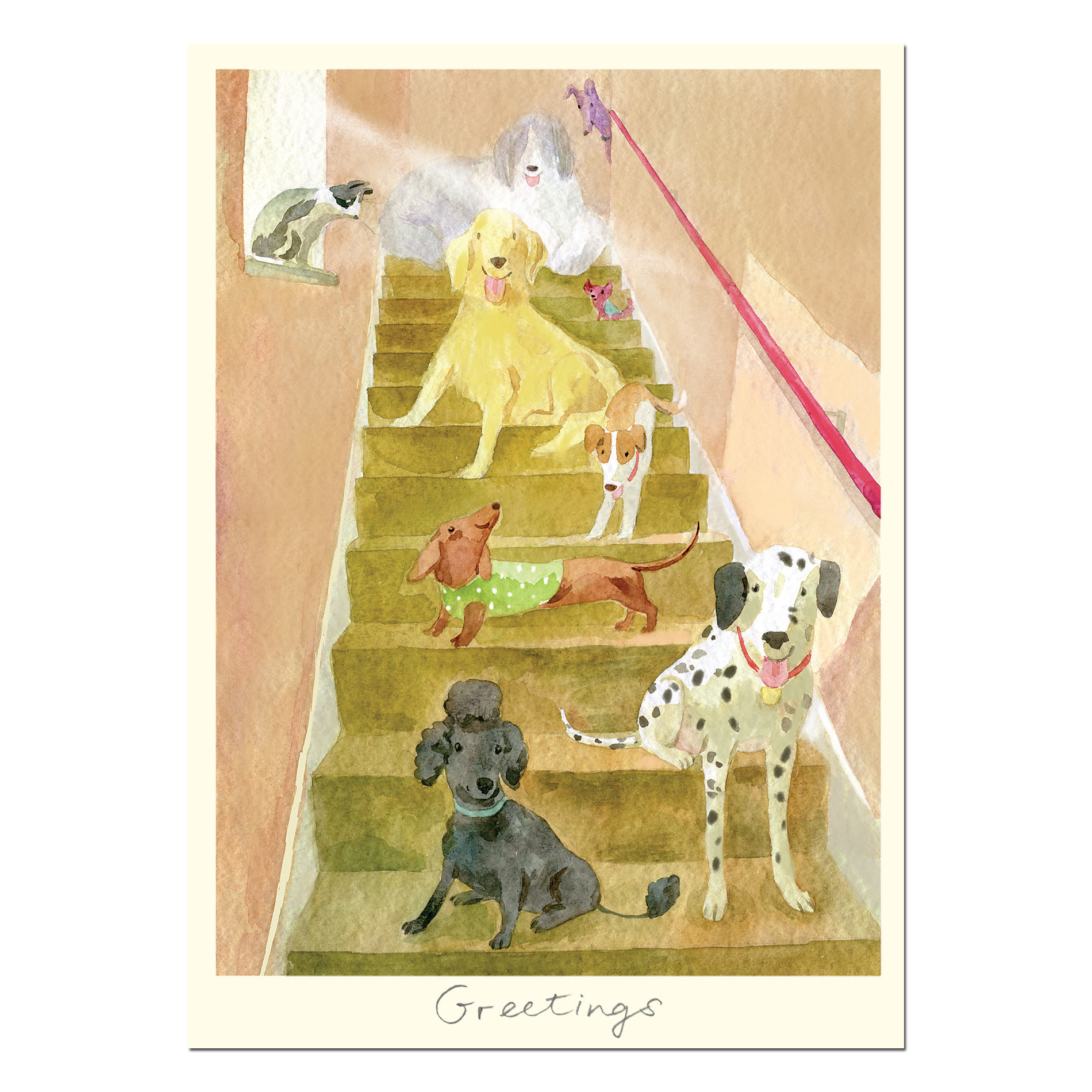 Two Bad Mice Doppelkarte "Greetings "  von Two Bad Mice aus England von Anna Shuttlewood , Hunde 