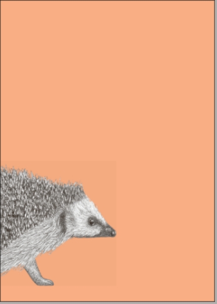 Postkarte Igel von ask a duck   