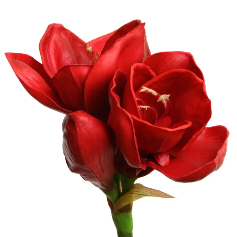 Amaryllis  rot, ca. 58 cm , Kunstblume 