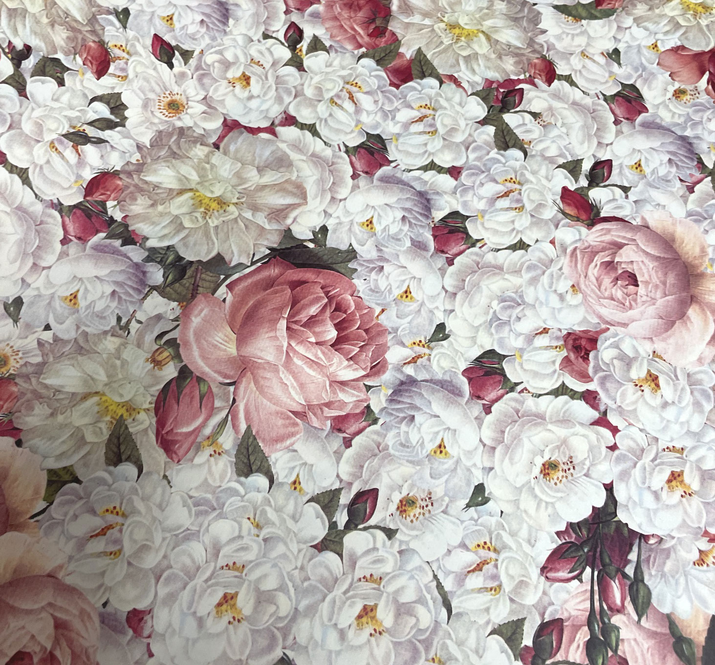 Geschenkpapier Roses/ Harmonie, ca. 50 x 70 cm von Grafiche Tssotti aus Italien