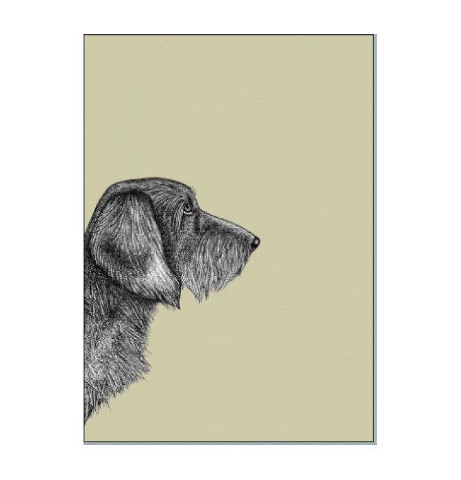 Postkarte Dackel von ask a duck   