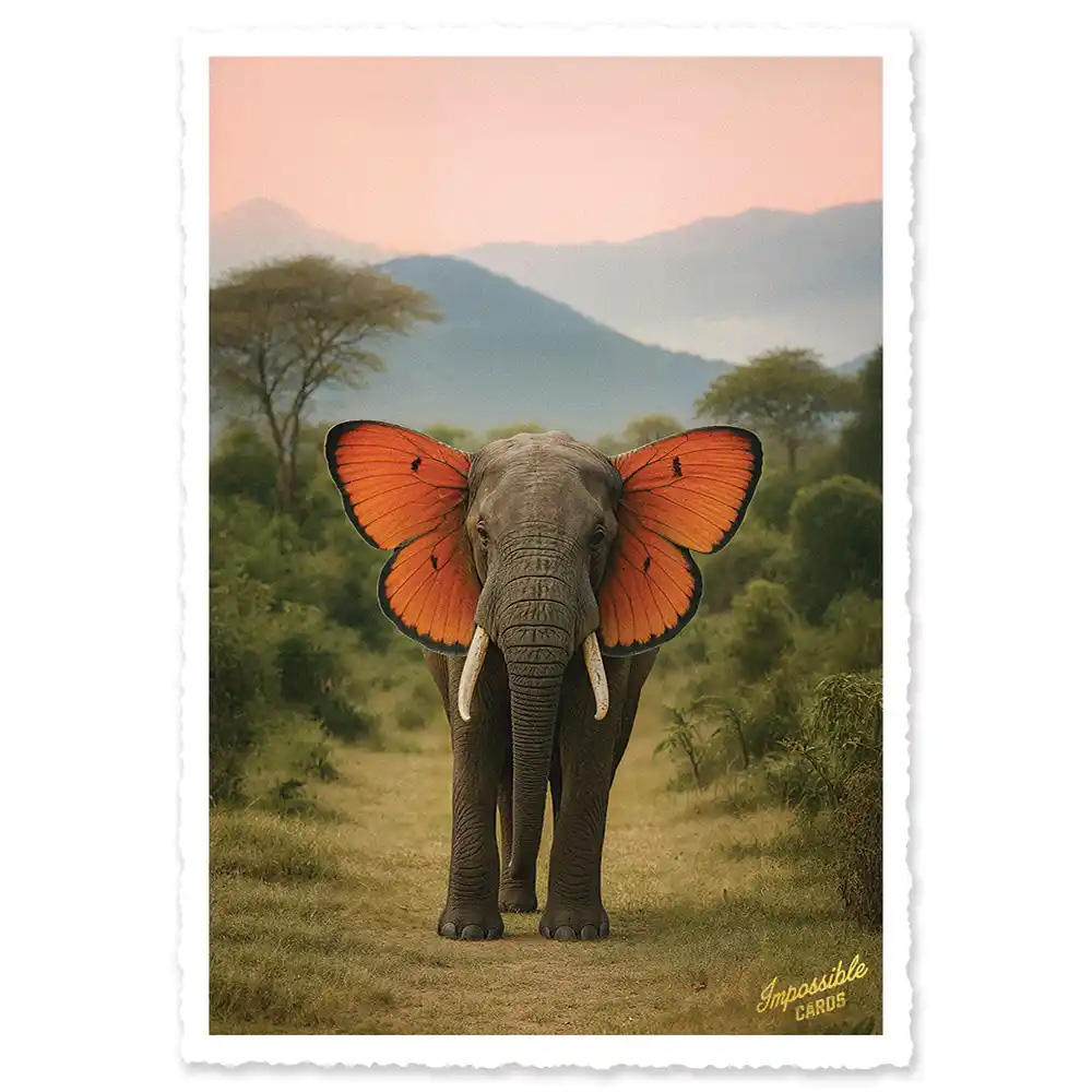 Impossible Card Postkarte Butterfly Elephant