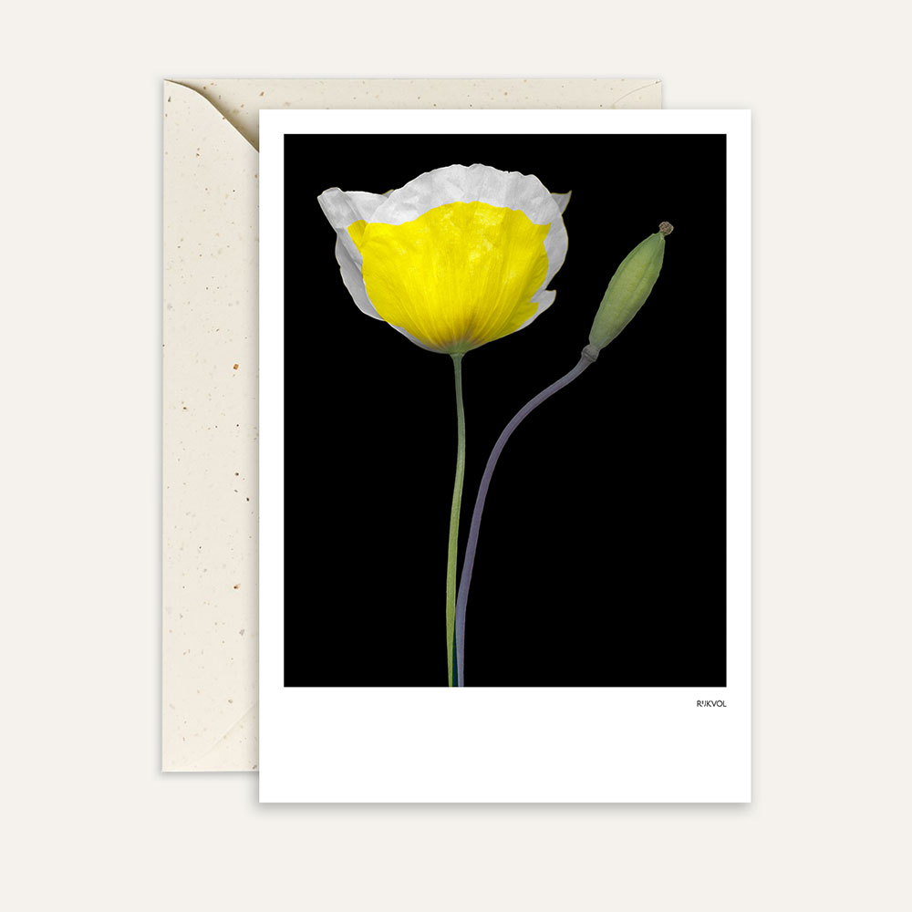 Aufstellkarte BlackEdition- Poppy 02, Florale Grußkarte mit Umschlag von Studio Rijkvol     