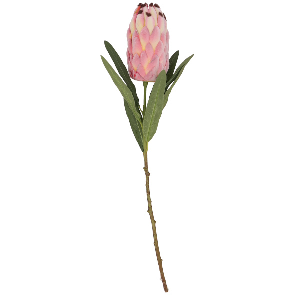 % Protea Zweig " Paula" ca.52 cm, Kunstblume