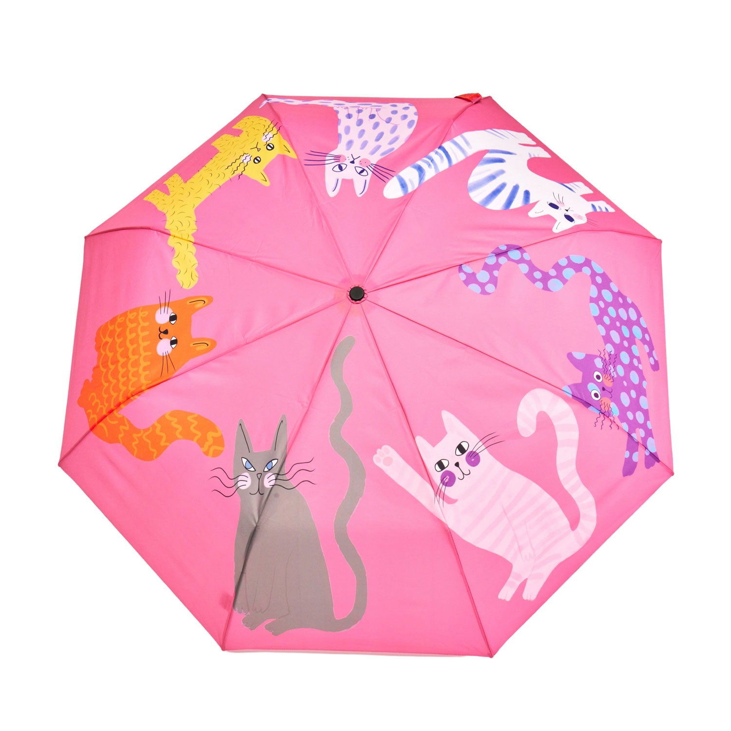 Regenschirm Original Duckhead ARTY CATS Fuchsia,  Compact Duck Umbrella   