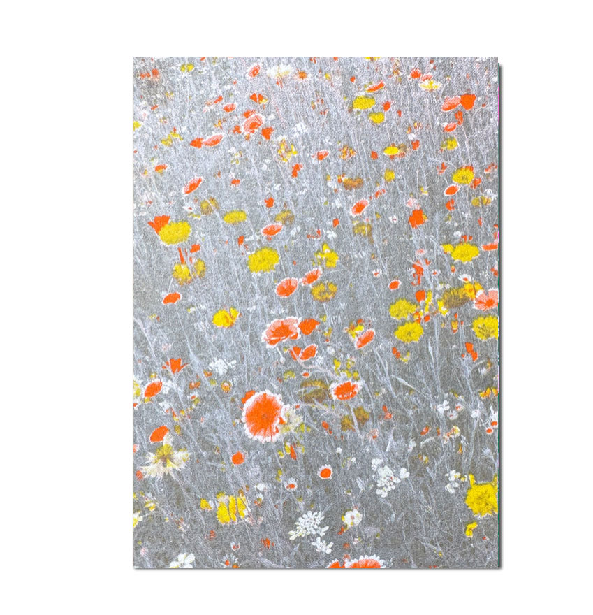 Herr und Frau Rio Postkarte Blumenwiese Orange , Risographie Postkarte