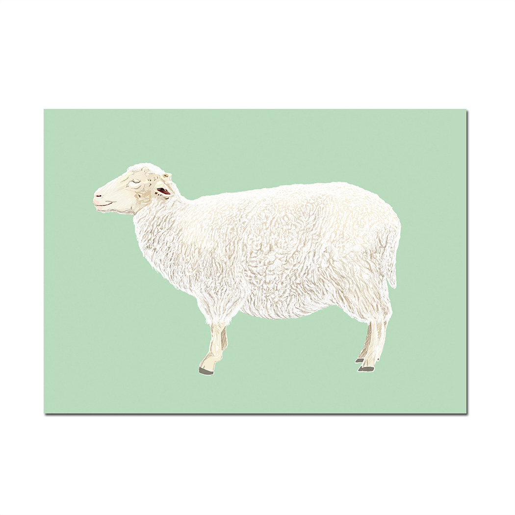 Postkarte  Schaf   von m-illu ...oder in badisch Schälfle :-)