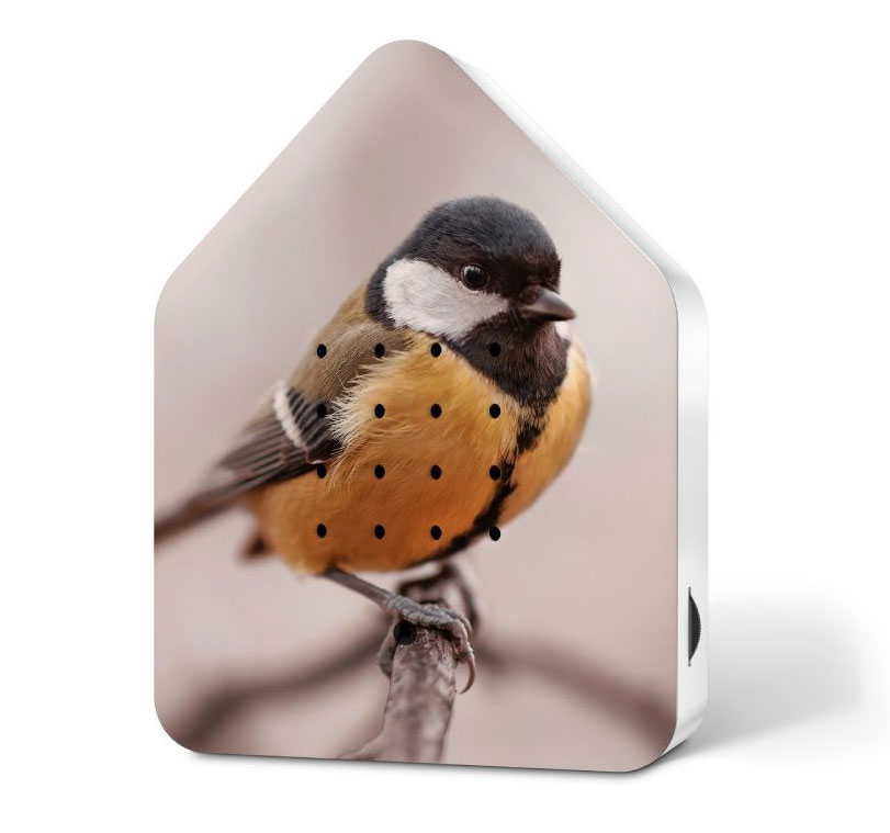 Zwitscherbox Limited Edition Fall 24 Great Tit von Zwitscherbox   ( Kohlmeise) Vogel 