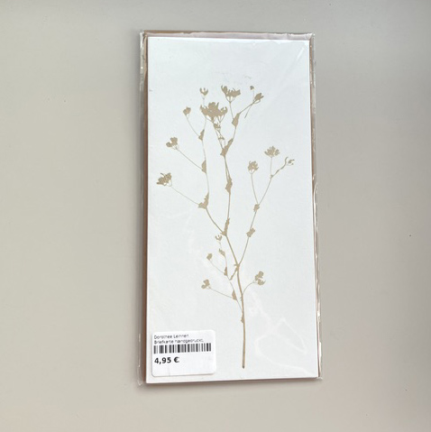 Dorothee Lehnen Briefkarte zarte Wiesenblume, handgedruckt, DIN lang von Dorothee Lehnen