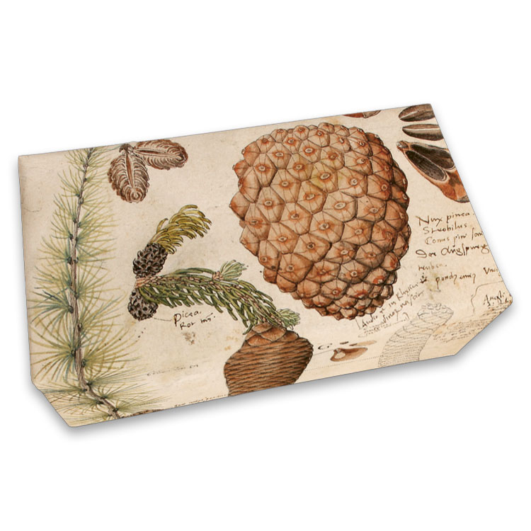 Sköna Ting Seife "Anno 1550, cones", Duft: Vanille, 200 g aus Schweden, Tannenzapfen