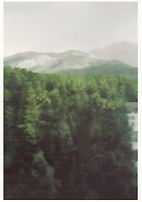 Gerhard Richter Postkarte "Waldhaus, 2004 "    Kunst