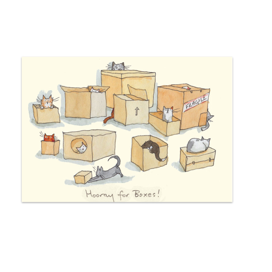 Two Bad Mice Doppelkarte "Hoorray for Boxes"   von Two Bad Mice von Anita Jeram, Katzen