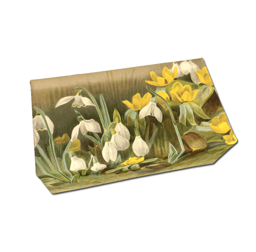 Sköna Ting Seife "Winter aconite & snowdrops", Duft: Zitrone, 200 g aus Schweden