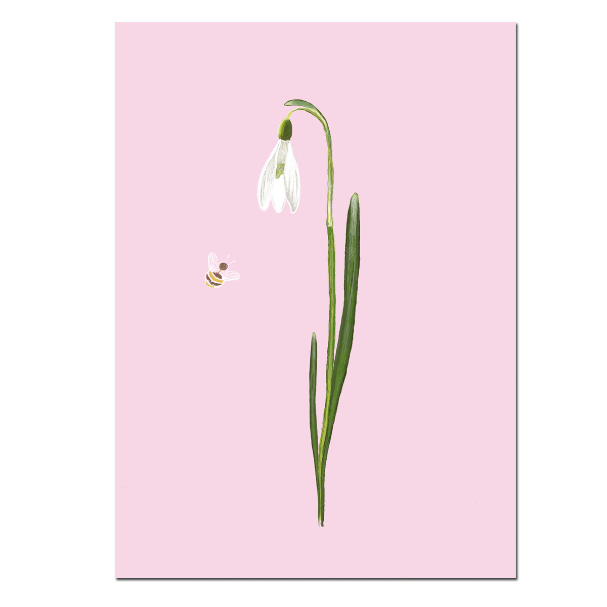 Postkarte Spring Snowflake, Schneeglöckchen, Frühling von m-illu