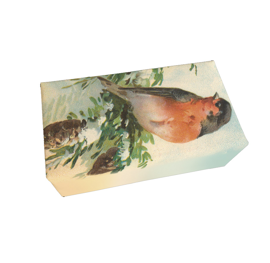 Sköna Ting Seife " Bullfinch", Orangenduft, 200 g aus Schweden, Gimpel