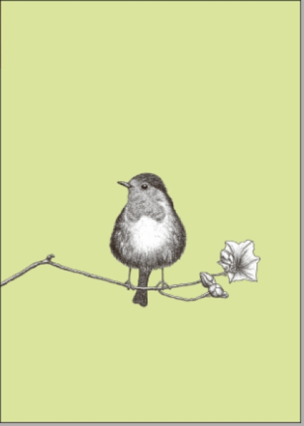 Postkarte Vogel Rotkehlchen von ask a duck 