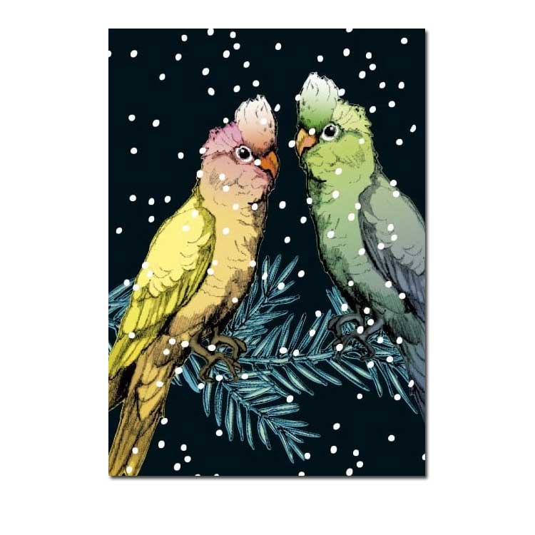 Illi Postkarte Lotte und Theo von illi , Holzschliffpappe , Papageien im Schnee