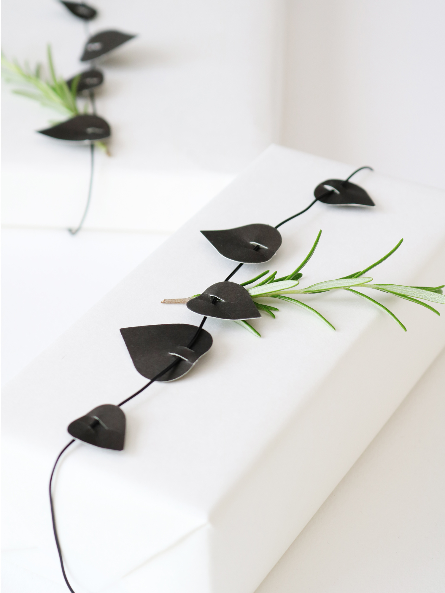 Jurianne Matter Twig Set Blätter , schwarz, Bastelset