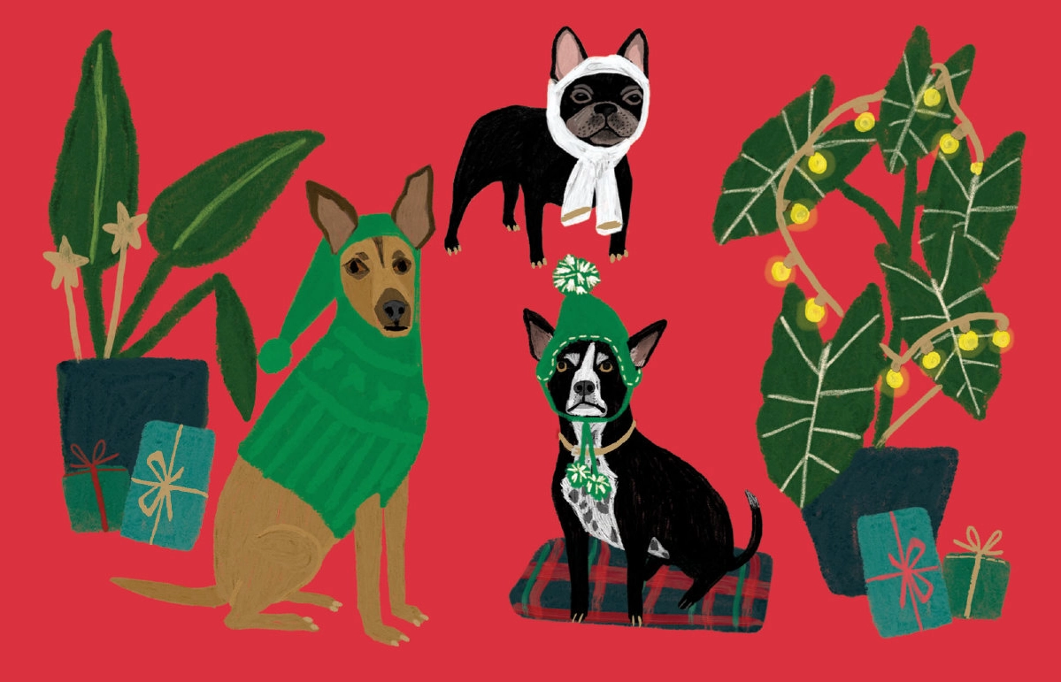 Roger la Borde Doppelkarte "Hunde in Winterkleidung", Weihnachtskarten