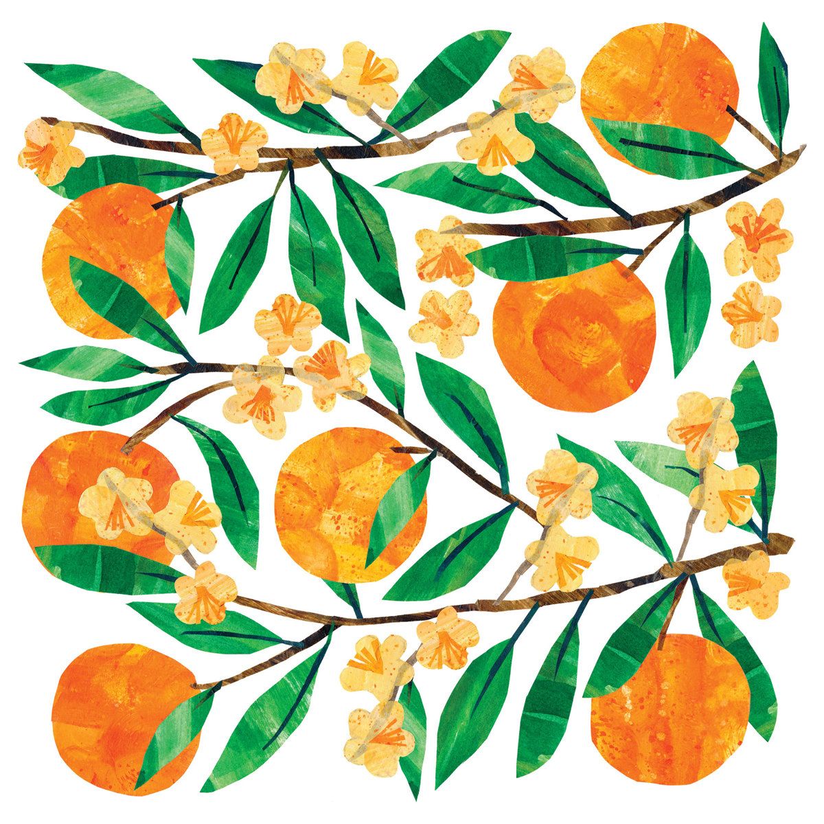 Papierservietten Tracey´s Orangina, 33 x 33 cm   von PPD    