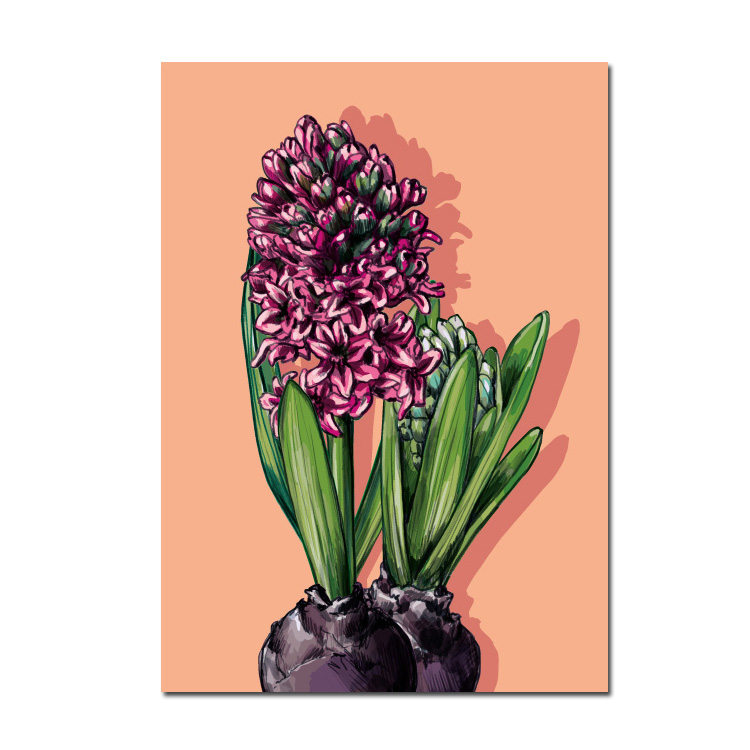 Postkarte - Jacinto pink , Hyacinthe, von illi 