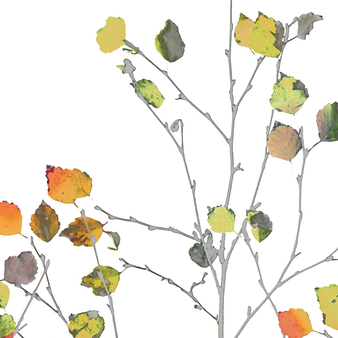 Papierservietten "Minimal Autumn" Herbst, 33 x 33 cm  von PPD