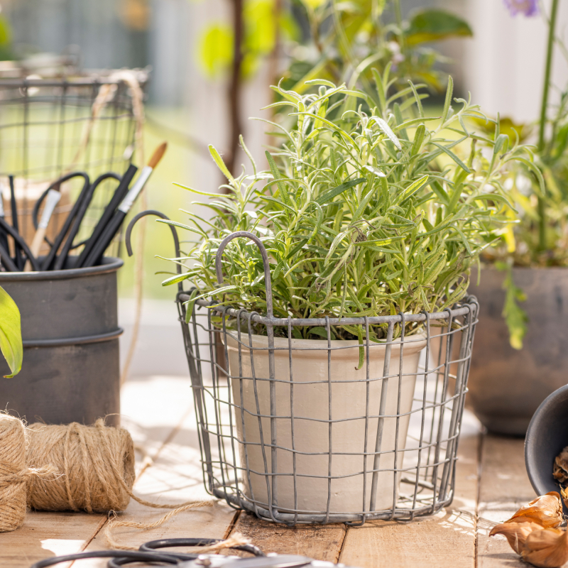 Balkonkorb, Drahtkorb, ca. 18 x 19 cm