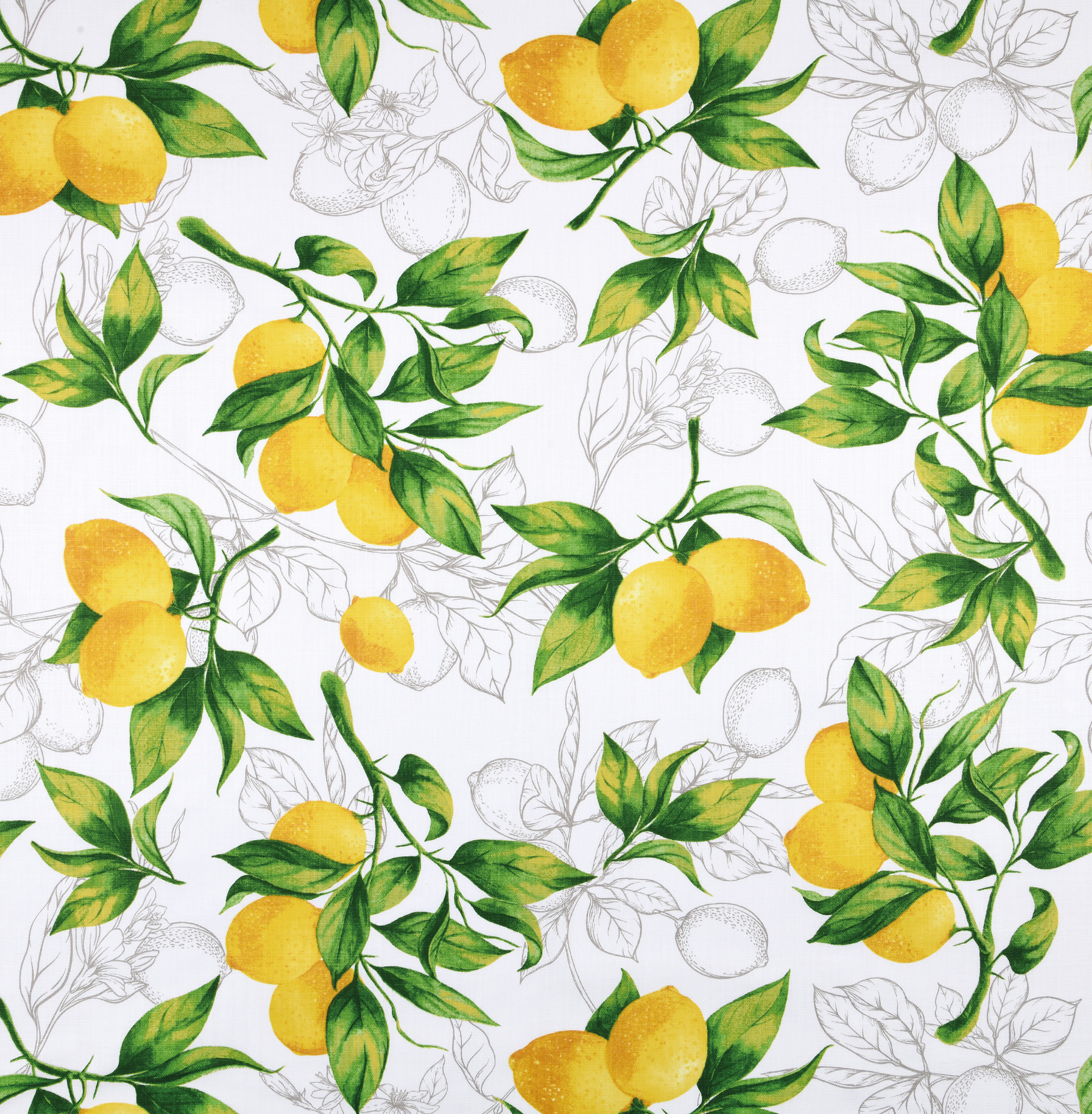 Abwaschbare Meterware "Citron" Zitronen, 155 cm breit, Preis pro 10 cm   