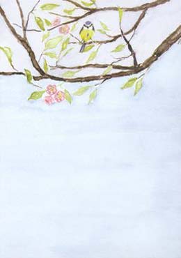 Pia Malmros Surpris Karte mit Umschlag Vogel im Baum