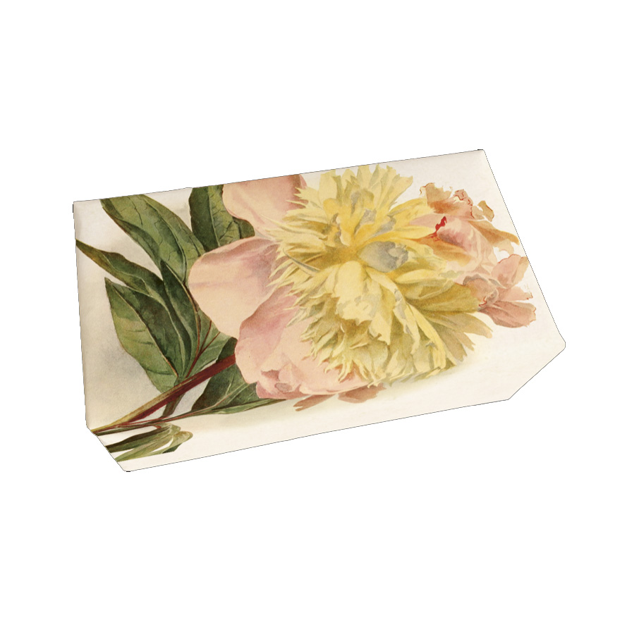 Sköna Ting Seife "Peony", Duft: Rose, 200 g aus Schweden , Pfingstrose