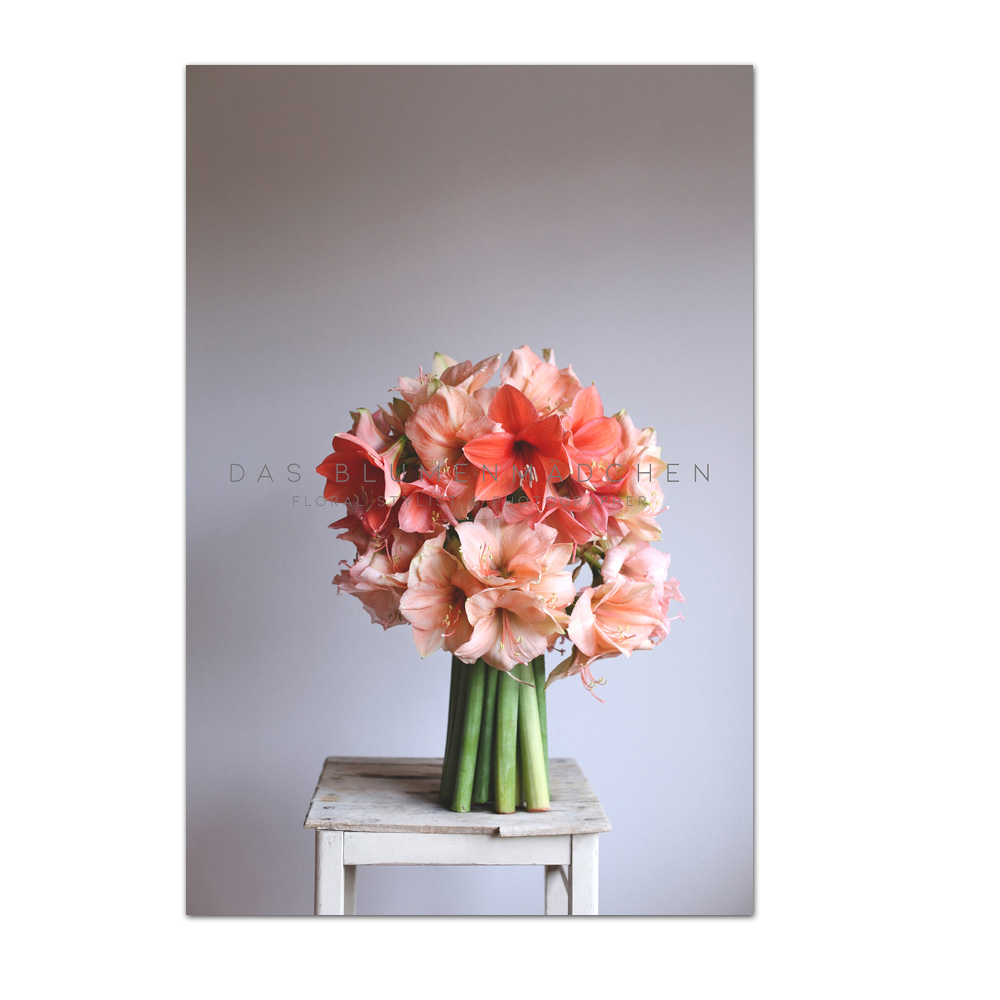 Das Blumenmädchen Postkarte "Amaryllis" apkrikot