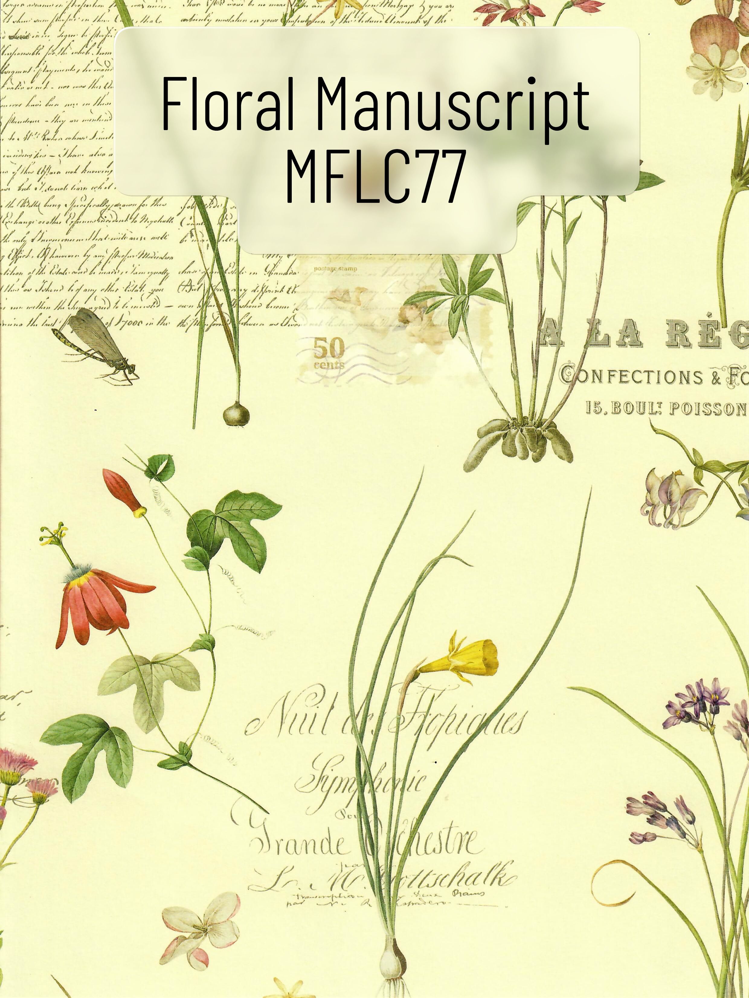 Geschenkpapier FLORAL Manuscript, ca. 50 x 70 cm aus Italien