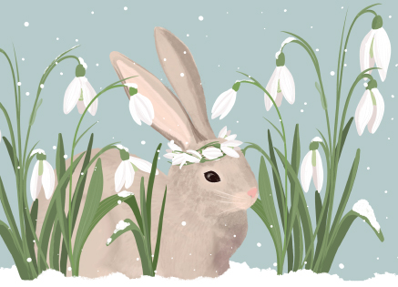 Postkarte Winterrabbit von Toni Starck , Winter Hase , Schneeglöckchen