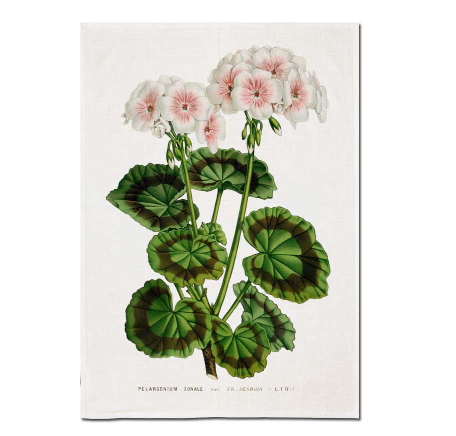 Sköna Ting Geschirrtuch "Geranium" Geranie,  ca.50 x 70 cm, Baumwolle   