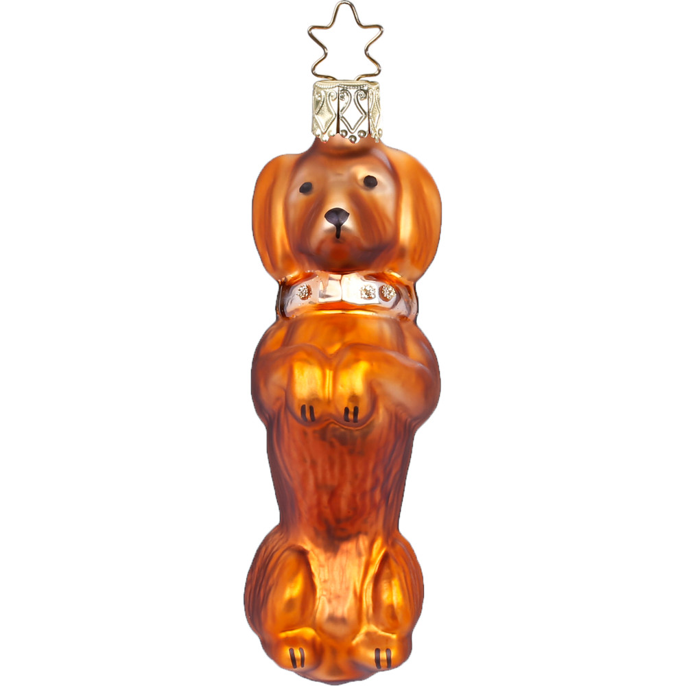Inge Glas Christbaumkugel Dackel "Alles für den Dackel" mit cremefarbenem Halsband / Hund, ca. 8,5 cm 