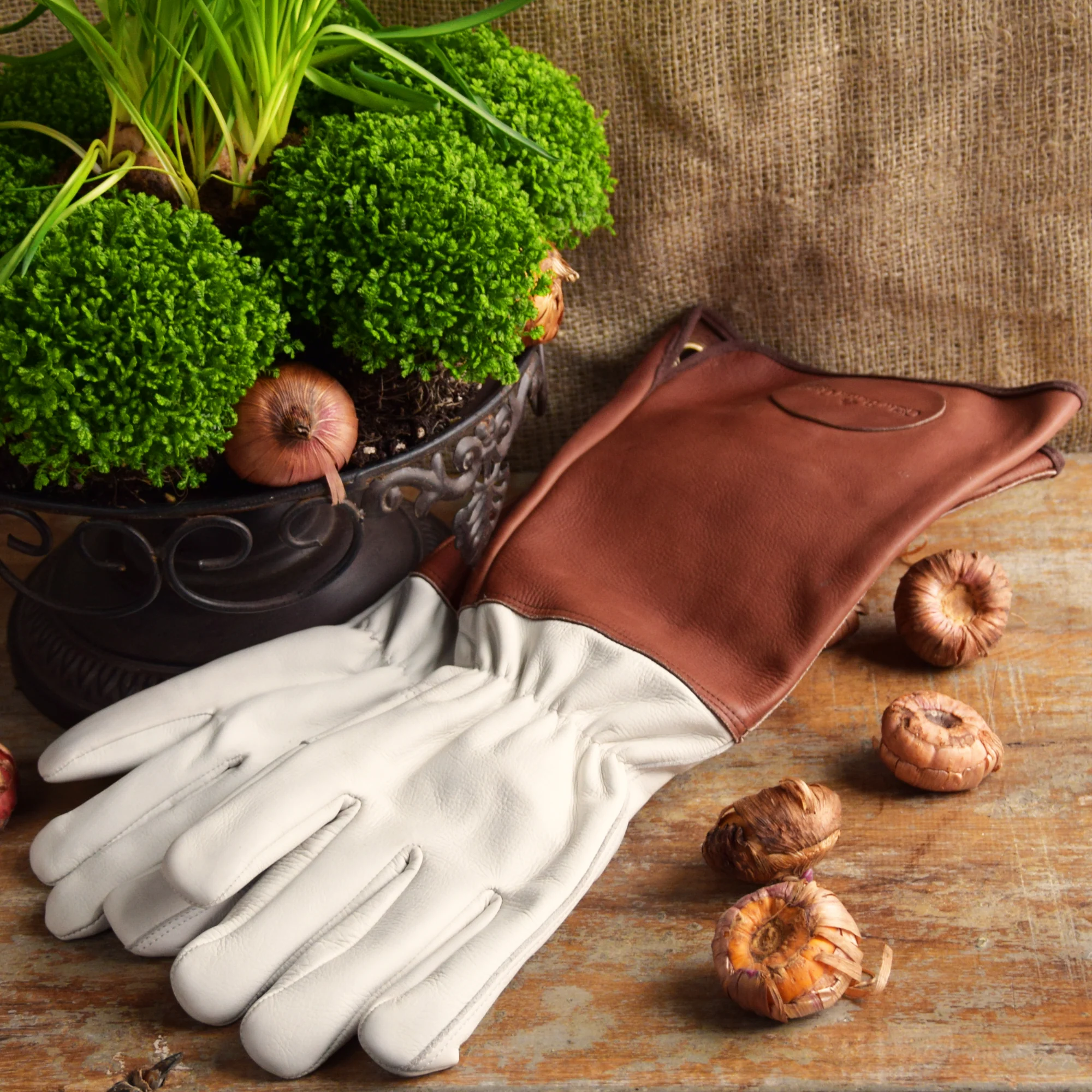 Rosenhandschuhe aus Leder, Damen Größe S