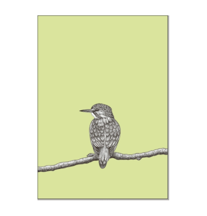 Postkarte Vogel Eisvogel von ask a duck 