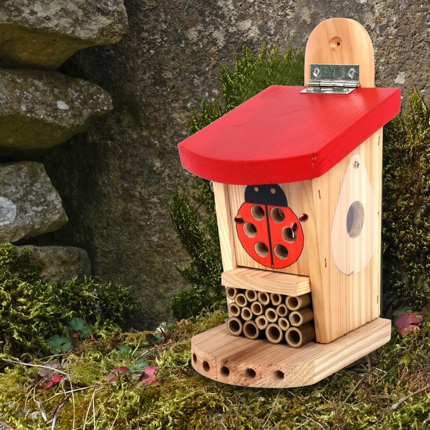 Marienkäfer- und Insektenhaus