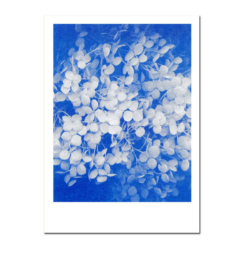 Herr und Frau Rio Postkarte Hortensie blau, Risographie Postkarte