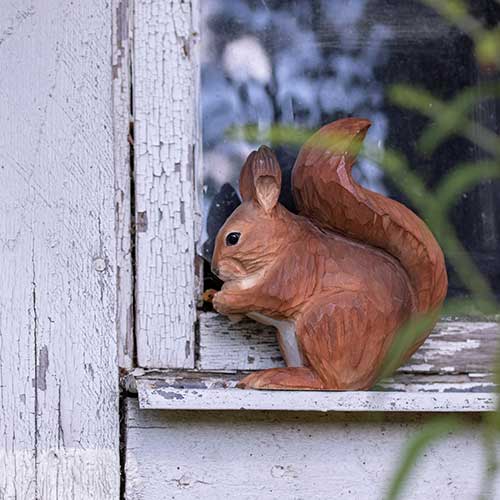 Eichhörnchen Lindenholz handgeschnitzt von Wildlife Garden Rotes Eichhörnchen
