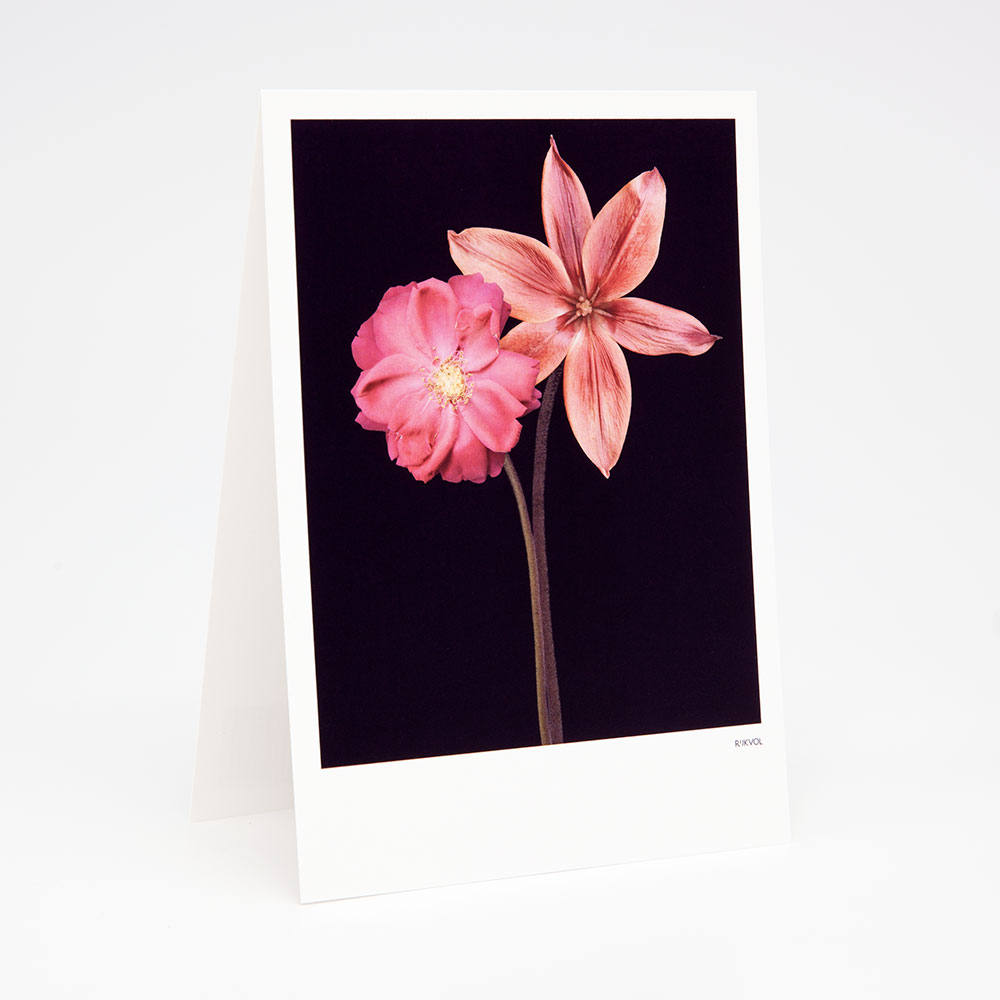 Aufstellkarte -BlackEdition- FlowerCollab 01, Florale Grußkarte mit Umschlag von Studio Rijkvol 