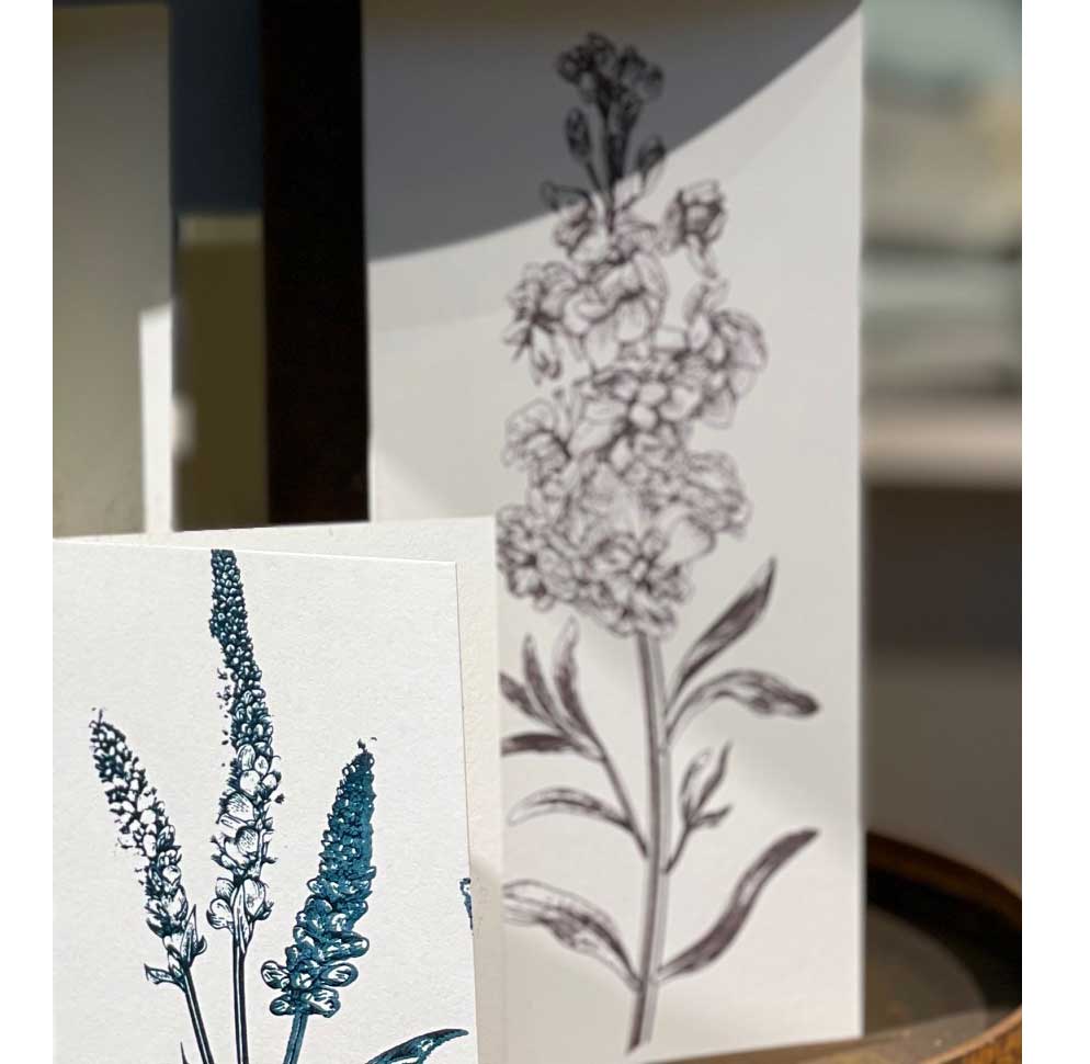 Briefkarte Stockrose, handgedruckt, DIN lang von Dorothee Lehnen   